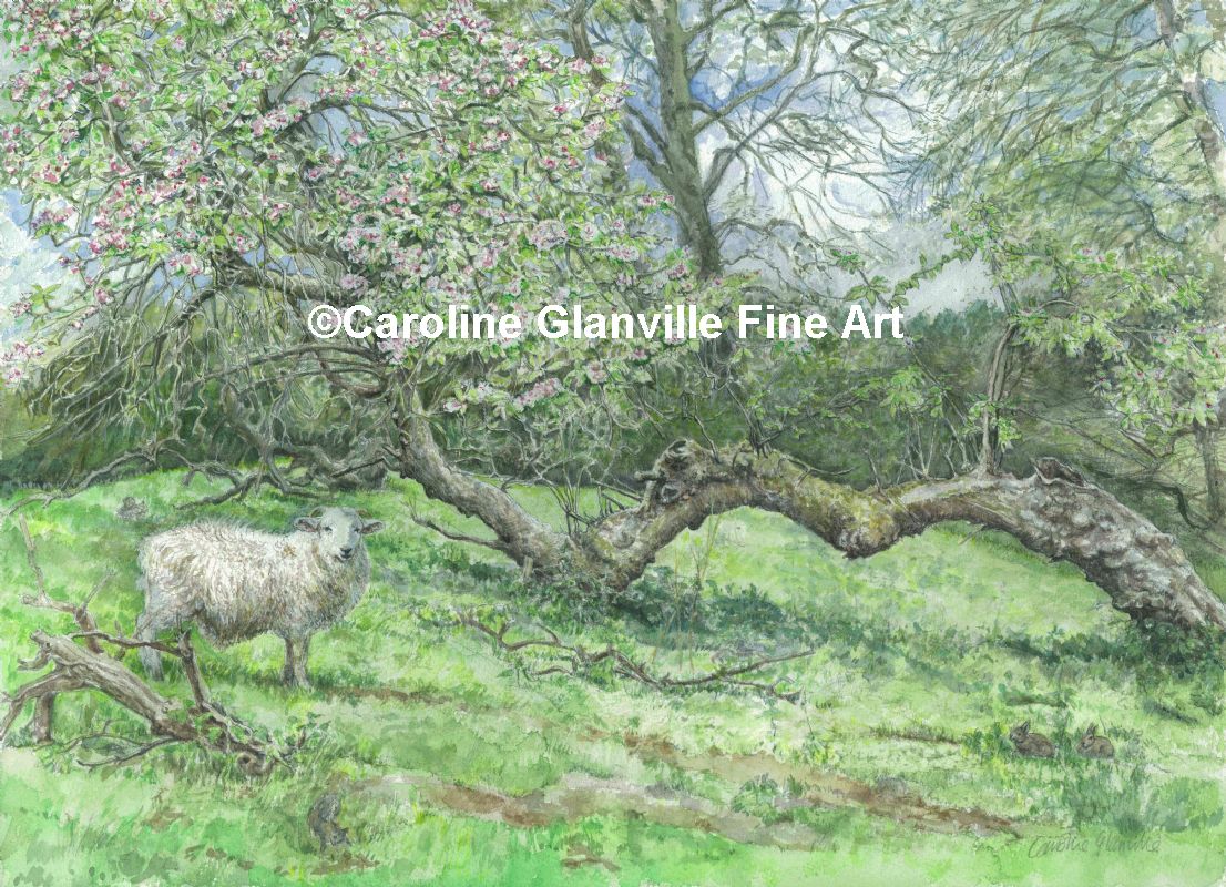 Fallen pear tree , painting by Caroline Glanville